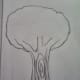 20-how-to-draw-trees-instructions-for-kids-step-by-step