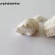 Pure amphetamine is white and can resemble the appearance of cocaine and crack.