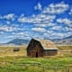 Farmland