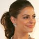 celebrity sleek ponytail hairstyles