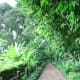 the-spice-garden-at-fort-canning-park