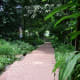 Sloping sections with steps make the Spice Garden trail a challenge for the not-so-fit. Wear comfortable shoes when you visit!