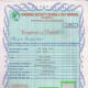 ignore this certificate it is fraudulent