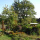 Painting in the garden