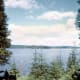 The view from the living room window of Hibbard's cabin overlooking Moose Lake.