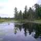 Typical Boundary Waters Canoe Area Wilderness scene