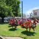 Floral reindeer in Ballarat, Australia