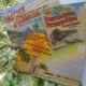There's no limit to the vintage graphics available for decorating your camper; travel postcards, souvenirs, ads, kitchen towels etc.