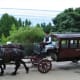 Horse drawn carriage at the Grand Hotel