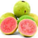 Guava (Bayabas)