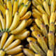 Lakatan/Lacatan bananas from Mindanao Philippines.