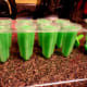 Pour mixture into popsicle molds.