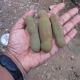 raw tamarind
