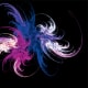 The confused octopus fractal