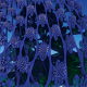Alien Flowers
