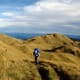 Mount Pulag, Photograph by Zean Villongco, My Shot