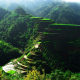 Rice Terraces