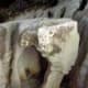 Water erosion creates weird shapes