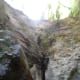 Back up to the Forest Floor