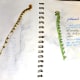 Fiddlehead weed