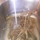 Place the roots in a sanitized sink. Fill with just enough lukewarm or cool water to cover the roots.