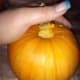 processing-and-cooking-fresh-pumpkin-for-pumpkin-pie-or-soup-recipes-an-illustrated-guide