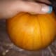 processing-and-cooking-fresh-pumpkin-for-pumpkin-pie-or-soup-recipes-an-illustrated-guide