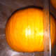 processing-and-cooking-fresh-pumpkin-for-pumpkin-pie-or-soup-recipes-an-illustrated-guide