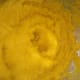 processing-and-cooking-fresh-pumpkin-for-pumpkin-pie-or-soup-recipes-an-illustrated-guide