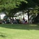 A group enjoying a "braai" under the trees