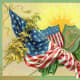 Irish and American flags intertwined with sun rising