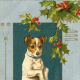 Vintage begging dog Christmas card