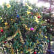 It's time to decorate the hibiscus bush