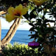 Hang an ornament with the yellow hibiscus
