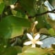 aromatherapy-beauty-treatment-products-to-make-at-home