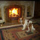 Open fire in the living room with Angus.