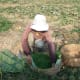 A Cambodian Khmer Farmer