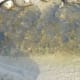 Looking down into the brook. Sometimes we see little fish.