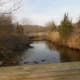 Looking up the Bride Brook -- away from the Long Island Sound