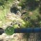 Archaeology 101 - Gameplay 03: Far Cry 3 Relic 4, Spider 4.