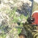 Archaeology 101 - Gameplay 03: Far Cry 3 Relic 67, Boar 7.