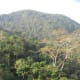 Lebialem Highlands, cross-river gorilla habitat
