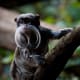 the-prettiest-animals-never-known
