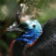 the-prettiest-animals-never-known