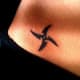 ninja-star-tattoos-and-designs-ninja-star-tattoo-meanings-and-ideas-ninja-star-tattoo-pictures