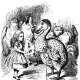 dodo-an-extinst-bird