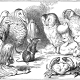 dodo-an-extinst-bird