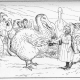 dodo-an-extinst-bird