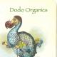 dodo-an-extinst-bird