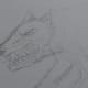 Sketch in some frown lines and extra wrinkles around the face to give it some depth.